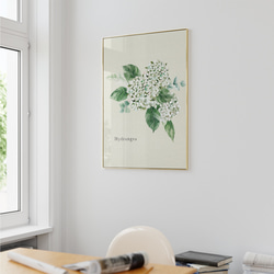 バラとアジサイのポスター　/ i1390 / 淡い色の初夏の花　インテリアポスター 2枚目の画像