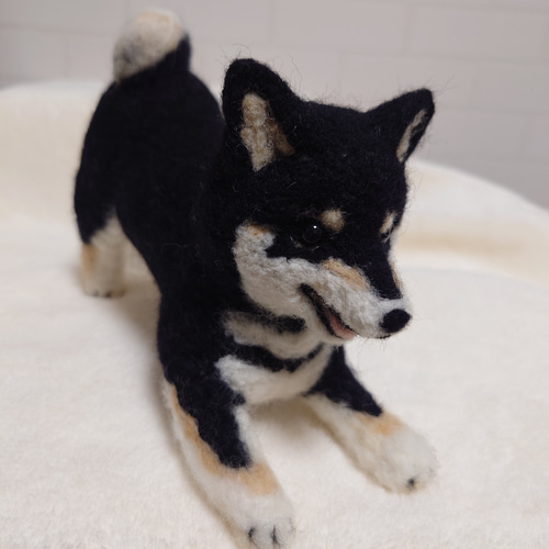 柴犬 羊毛 羊毛フェルト ハンドメイド 黒柴 羊毛フェルト allenkuro48