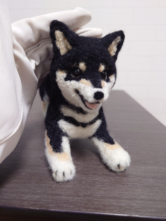 柴犬 羊毛 羊毛フェルト ハンドメイド 黒柴 羊毛フェルト allenkuro48