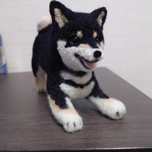 柴犬 羊毛 羊毛フェルト ハンドメイド 黒柴 羊毛フェルト allenkuro48