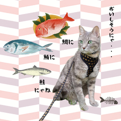 [ 猫さん大好き魚漢字 × シルバー ]   ハーネス　猫用ハーネス&リード 2枚目の画像