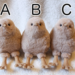 オーストラリア肺魚（ネオケラトドゥス フォルステリ）のぬいぐるみ