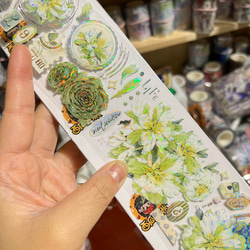 9971f047b1f06a4a8a13fdc7255322