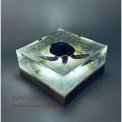 【受注制作】海の世界を閉じ込めた流木アート アオウミガメ 水中ジオラマ オブジェ アクアリウム LEDライト付 N6 4枚目の画像