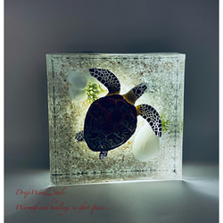 【受注制作】海の世界を閉じ込めた流木アート アオウミガメ 水中ジオラマ オブジェ アクアリウム LEDライト付 N6 1枚目の画像
