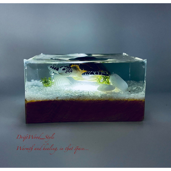 【受注制作】海の世界を閉じ込めた流木アート アオウミガメ 水中ジオラマ オブジェ アクアリウム LEDライト付 N6 6枚目の画像