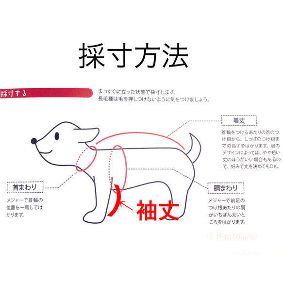 夏用ワンピース　リバティー薔薇柄・犬服 5枚目の画像