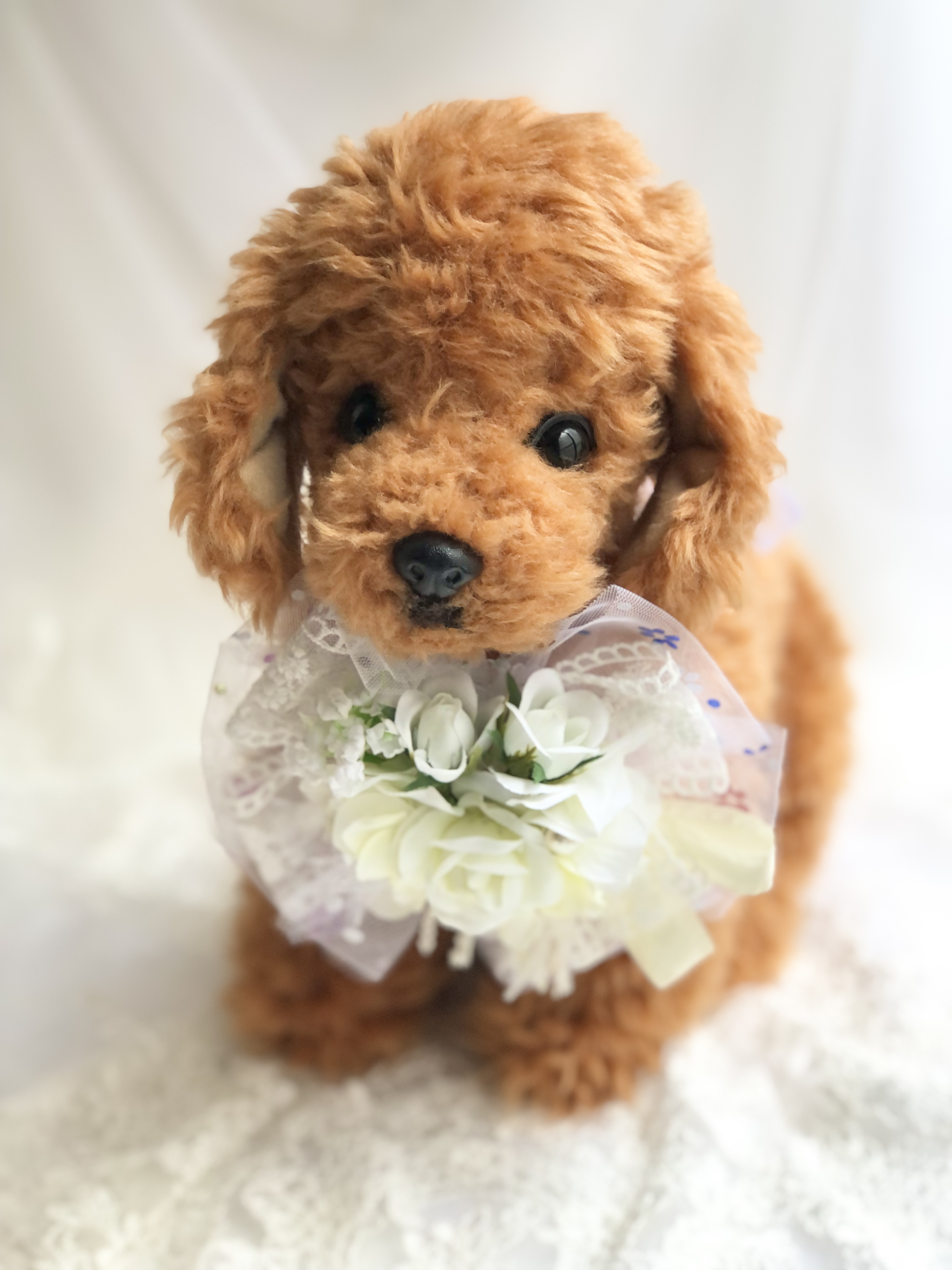 ちょいみー様★専用　　トリミングチョーカー　撮影　花　ウエディングベール　犬 メイ🐶トリミング✂︎🫧 お花のチョーカー素敵でしょ💐 . 🎐今回