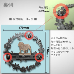  第2張的照片