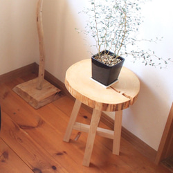 天然木 杉の切り株 サイドテーブル テーブル スツール 飾り棚 一点