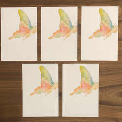 ポストカード/蝶々/５枚セット 2枚目の画像