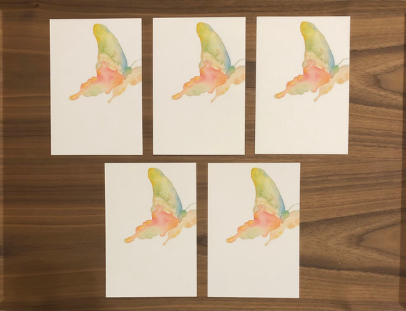ポストカード/蝶々/５枚セット 2枚目の画像