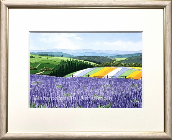 透明水彩画　原画　「ラベンダー畑06」額縁付　SMサイズ　風景画 透明水彩画 原画 「ラベンダー畑06」額縁付 SMサイズ 風景画
