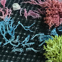 コーラル★アロマストーン　天然珊瑚のディフューザー 6枚目の画像