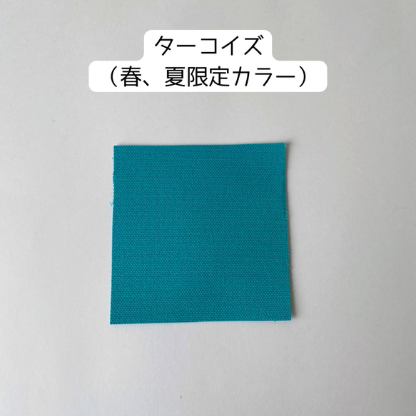 「簡單手提包」本色 ✕ Azuki/Kurashiki 帆布尺寸 8 第10張的照片