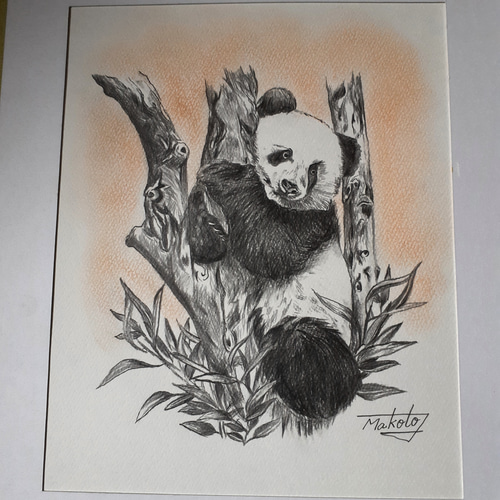 鉛筆画 パンダ 絵画 makochin 通販 15977571｜Creema(クリーマ)