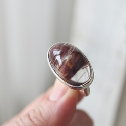 [ブラジルの天使の羽 アンフィボールin quartz]ring 6枚目の画像