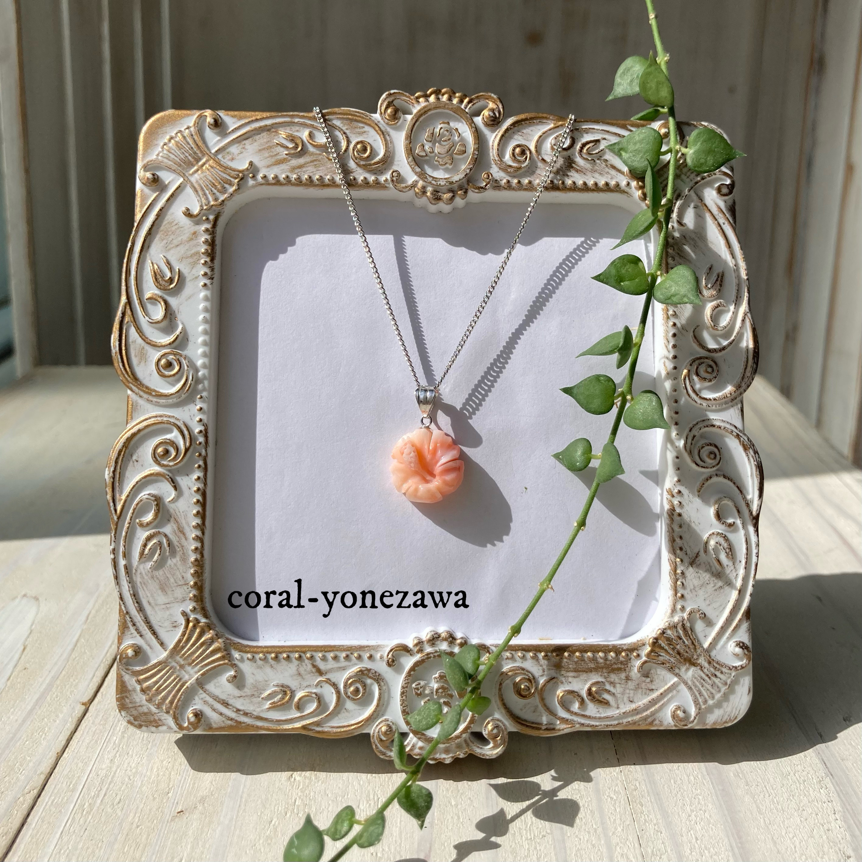 ハイビスカス.珊瑚のペントップ.k14ＷG