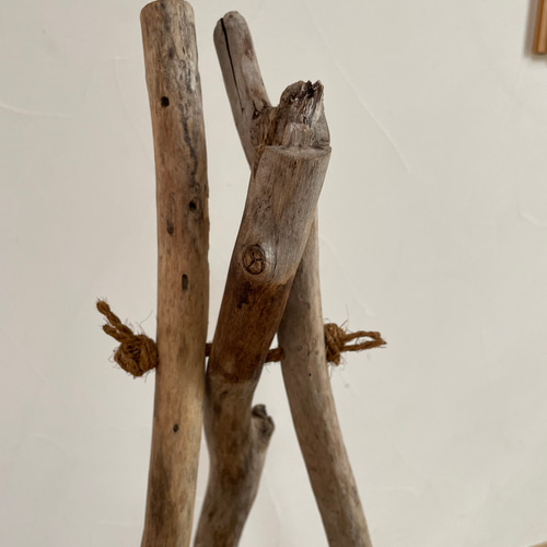 自立する流木 朝のさんぽ道で出会えた流木 汗だくで担いで帰った。笑