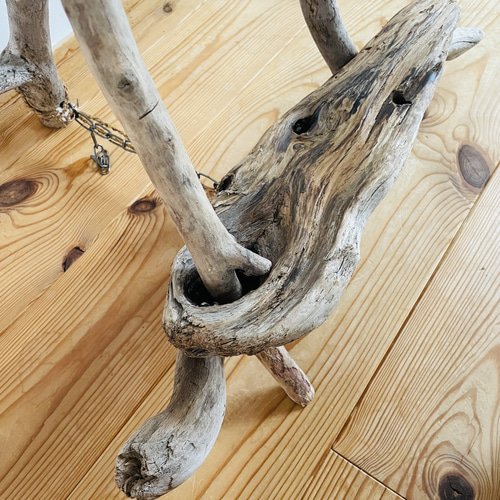 自立する流木 原生の力宿す孤高の流木】ディープホーンウッド/Deep Hornwood #大型