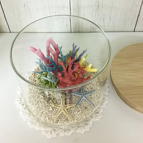 可愛い♪珊瑚礁　珊瑚　貝殻　アロマストーン　アロマオイル　置物　白珊瑚　標本　③ コーラル☆アロマストーン 天然珊瑚のディフューザー ディフューザー
