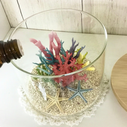 #珊瑚♡置物　おまけ水晶を付けます♥︎ コーラル☆アロマストーン 天然珊瑚のディフューザー ディフューザー