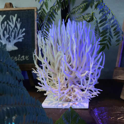 コーラル☆アロマストーン 天然珊瑚のディフューザー ディフューザー