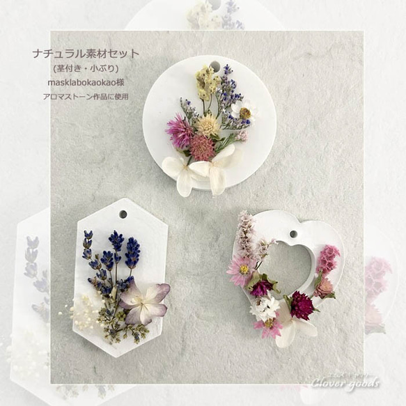  第6張的照片