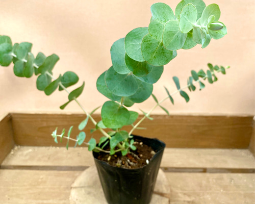 b32a1d589240775b3f658a4baeef71