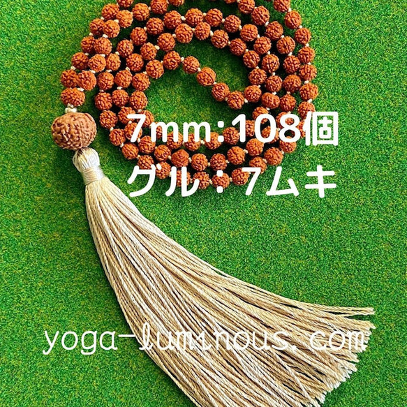 ルドラクシャマーラー トップ10ムキ （CATEGORY 10面～15面