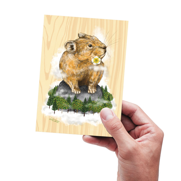 ポストカード【ナキウサギ】／1枚 3枚目の画像