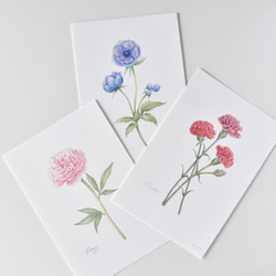 選べるボタニカルカード 3枚セット 全13種 お花 植物 水彩画 2枚目の画像