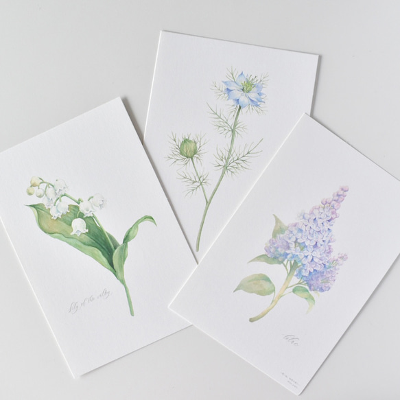 選べるボタニカルカード 3枚セット 全13種 お花 植物 水彩画 3枚目の画像
