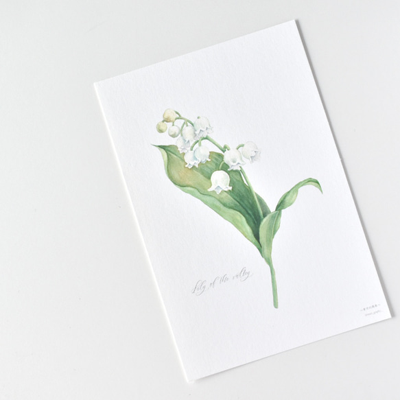 選べるボタニカルカード 3枚セット 全13種 お花 植物 水彩画 8枚目の画像