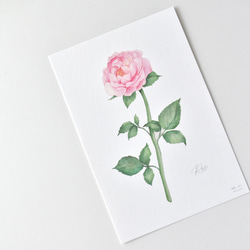 選べるボタニカルカード 3枚セット 全13種 お花 植物 水彩画 11枚目の画像