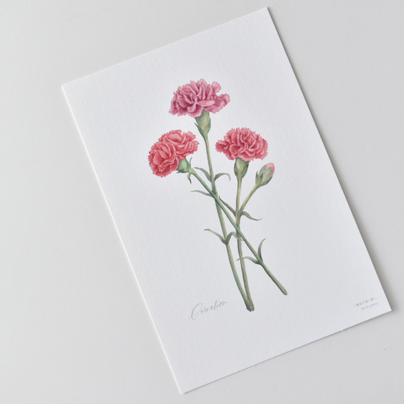 選べるボタニカルカード 3枚セット 全13種 お花 植物 水彩画 12枚目の画像