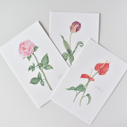選べるボタニカルカード 3枚セット 全13種 お花 植物 水彩画 2枚目の画像