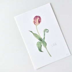 選べるボタニカルカード 3枚セット 全13種 お花 植物 水彩画 16枚目の画像