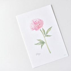 選べるカード 3枚セット 全13種 お花 植物 水彩画 14枚目の画像