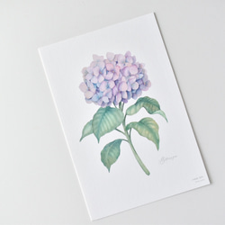 選べるカード 3枚セット 全13種 お花 植物 水彩画 10枚目の画像