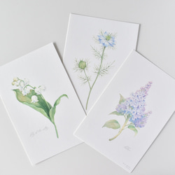 選べるカード 3枚セット 全13種 お花 植物 水彩画 2枚目の画像
