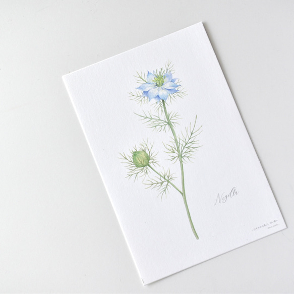 選べるカード 3枚セット 全13種 お花 植物 水彩画 15枚目の画像