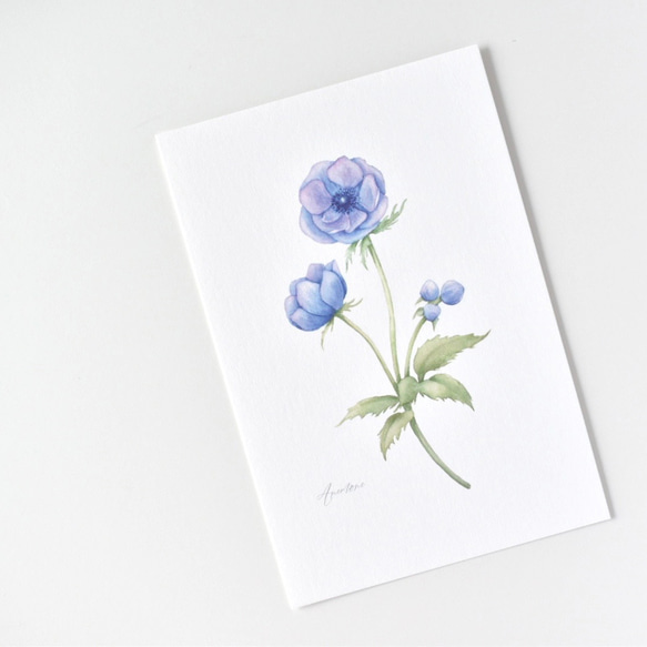 選べるカード 3枚セット 全13種 お花 植物 水彩画 9枚目の画像