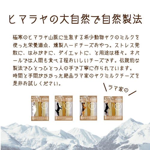 ○超超徳用○M10本 1本499円 中型犬 ラマ家のヤクミルクチーズ 11-13.5