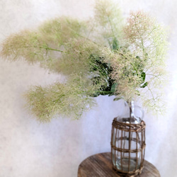 スモークツリー 枝付き ボリューム 55cm【5】＊ ふわふわ ドライフラワー スモークツリーのふわふわ花付き切り枝 - グリーンプロデュース
