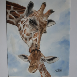 キリンの親子　水彩画　自己流　動物好き ee655516354ea20c76c1ace43ab7d5