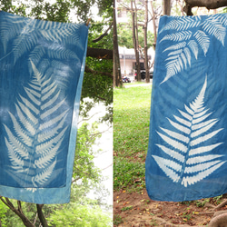 藍曬絲巾 - 蕨美 Botanic Cyanotype Silk Scarf - Ferns 第3張的照片