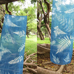 藍曬絲巾 - 蕨美 Botanic Cyanotype Silk Scarf - Ferns 第2張的照片