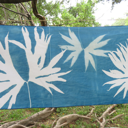 サイアノタイプ吊り下げ布 - 植物のサイアノタイプ装飾 - 結合双翅目 2枚目の画像