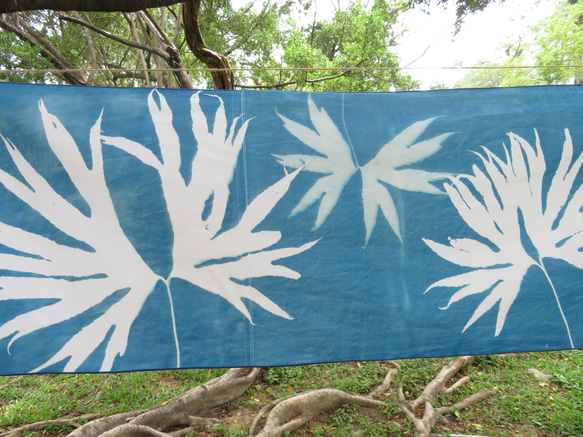 サイアノタイプ吊り下げ布 - 植物のサイアノタイプ装飾 - 結合双翅目 2枚目の画像